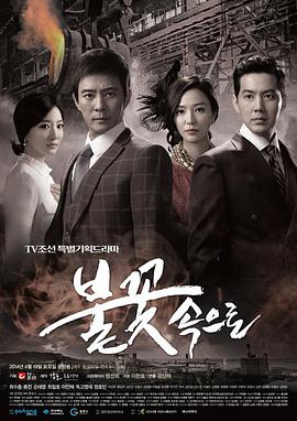 洛阳官网网站优化价格